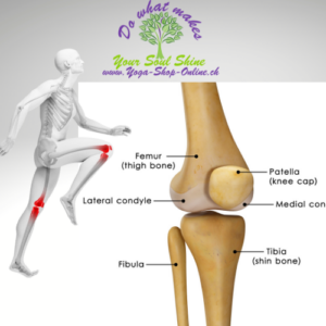 Knee Inside Structure